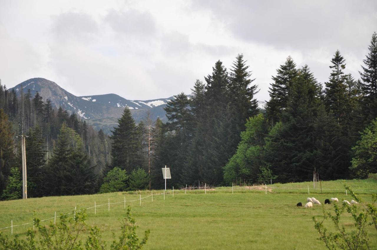 Apartamenty "U Blizniakow" Zakopane Exterior foto