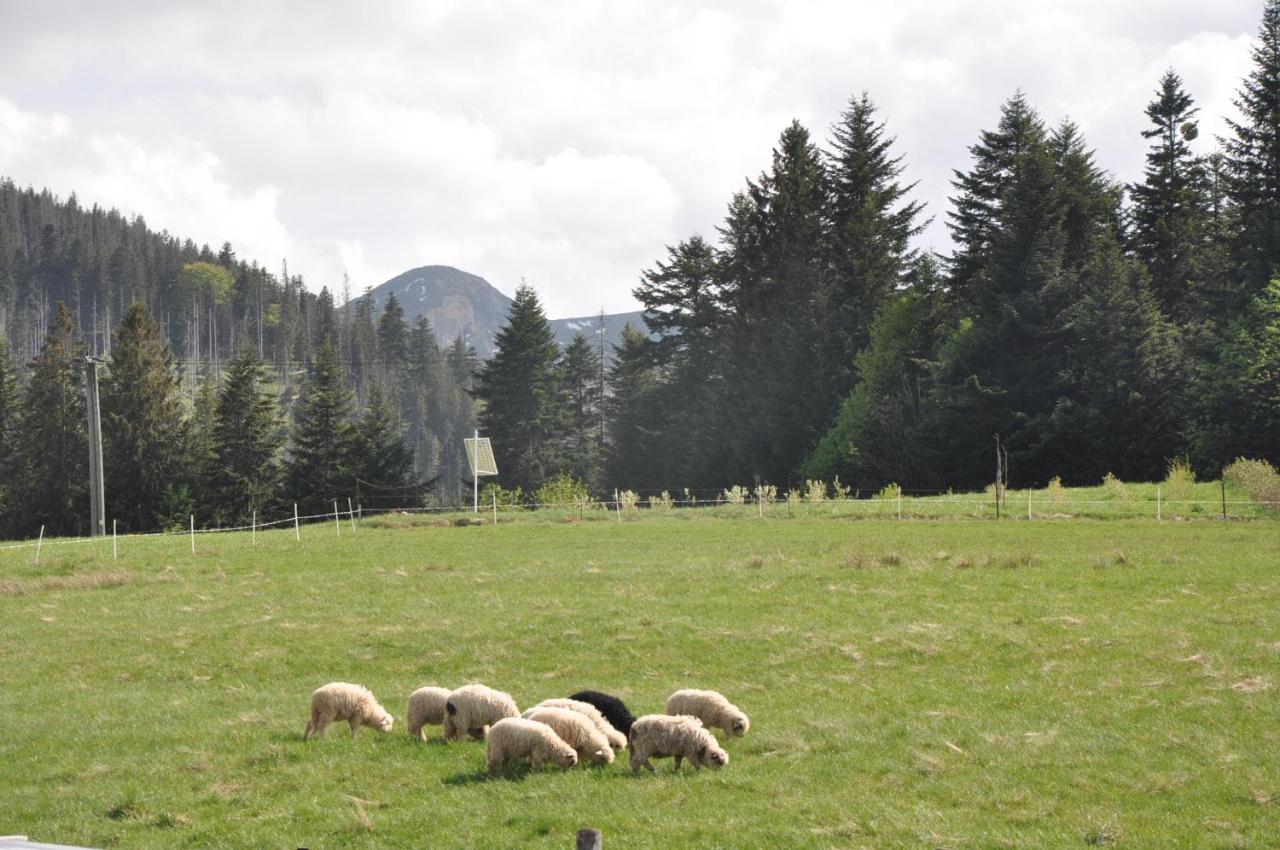 Apartamenty "U Blizniakow" Zakopane Exterior foto